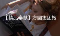 快排公司十年历程，霸屏兔 seo 的崛起与坚守