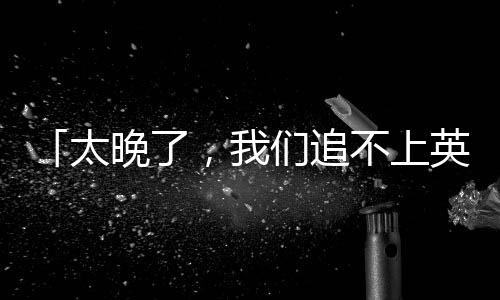 不上部讲一位迟暮的英伟拳王
