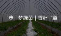 “珠”梦绿茵｜香洲“童超”，有模有样
！首届幼儿足球趣味赛落幕