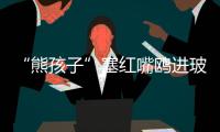 “熊孩子”塞红嘴鸥进玻璃瓶，护鸥队�：抓鸥虐鸥有，但比以前少