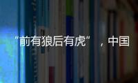 “前有狼后有虎”，中国第三大动力电池生产商赴港上市