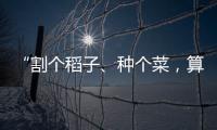 “割个稻子、种个菜，算劳动教育吗
？”
：下乡一周33年