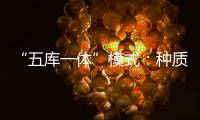 “五库一体”模式
：种质资源保存的创新之举