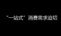 “一站式”消费需求迫切 壁挂炉企业应抓住商机
