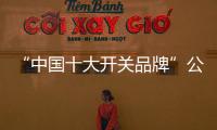 “中国十大开关品牌”公牛G18幻影纹理开关外观介绍