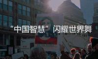 快排公司十年历程，霸屏兔 seo 的崛起与坚守