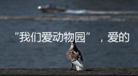 “我们爱动物园”，爱的是什么？