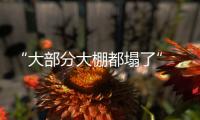 “大部分大棚都塌了”，湖北农业冻雨后迎大考