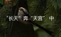 快排公司十年历程，霸屏兔 seo 的崛起与坚守