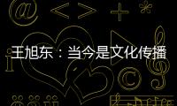 王旭东	：当今是文化传播的最好时代