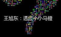 王旭东�：透过小小马镫 可知文明不同