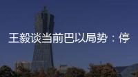 王毅谈当前巴以局势：停火止暴是当务之急
