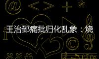 王治郅痛批归化乱象：烧钱买外援�，中国体育的钱包漏了