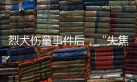 烈犬伤童事件后，“失焦”的多地捕狗风波