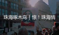 珠海啄木鸟｜惊
！珠海情侣南路附近海面发现“油污”？真相竟是……