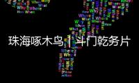 珠海啄木鸟｜斗门乾务片区排水管建设工程项目缺口资金已到位，力争今年底完工