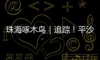 珠海啄木鸟｜追踪！平沙新城公交车站候车亭开工啦