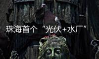 珠海首个“光伏+水厂”并网发电，打造绿色低碳新标杆