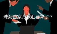 快排公司十年历程，霸屏兔 seo 的崛起与坚守