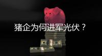 猪企为何进军光伏�？