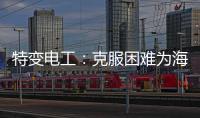 特变电工：克服困难为海 外居民带去福音