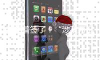 快排公司十年历程，霸屏兔 seo 的崛起与坚守
