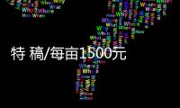特 稿/每亩1500元收购�
：谁在高价割青麦转饲料
	？