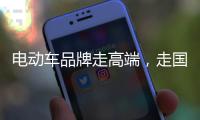 电动车品牌走高端，走国际化路线