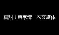 真甜！唐家湾“农文旅体”融合奏响乡村振兴“荔”