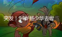 突发
！94岁杨少华去世
：中午35度高温参加商业活动，下午突然离世