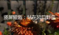 竖屏短剧：站在风口野蛮生长