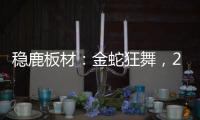 快排公司十年历程，霸屏兔 seo 的崛起与坚守
