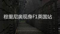 快排公司十年历程，霸屏兔 seo 的崛起与坚守