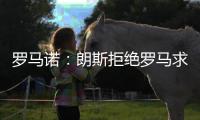 快排公司十年历程，霸屏兔 seo 的崛起与坚守
