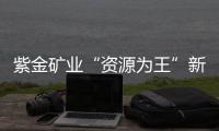 紫金矿业“资源为王”新路径：海底“淘金”浮出水面