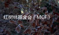 红树林基金会（MCF）温家怡：善因营销可有效促进公益品牌建设