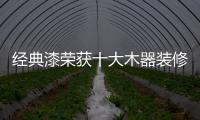 快排公司十年历程，霸屏兔 seo 的崛起与坚守