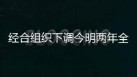 快排公司十年历程，霸屏兔 seo 的崛起与坚守