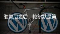 继鲁尼之后，帕尔默是第二位在世俱杯夺得金球奖的英格兰球员