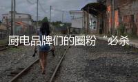 快排公司十年历程，霸屏兔 seo 的崛起与坚守