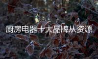 厨房电器十大品牌从资源、渠道、设计三方面谋发展