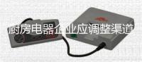 厨房电器企业应调整渠道策略 跟进渠道变革的步伐