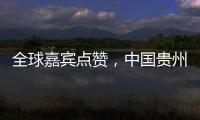 全球嘉宾点赞，中国贵州正点绿成“金”