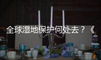 全球湿地保护何处去？《湿地公约》科技委员会主席这么说