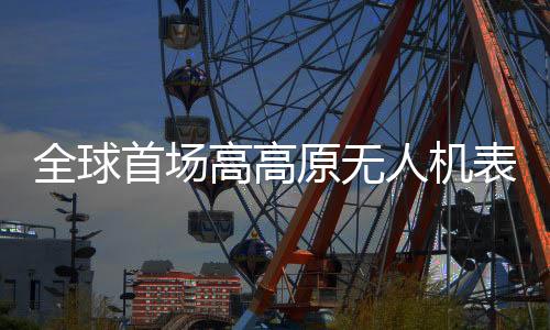 是将西我们依托本地资源禀赋