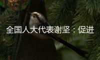 全国人大代表谢坚
：促进大湾区互联互通
，让三地民生民心相通相连