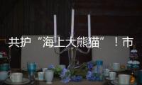 共护“海上大熊猫”！市民积极参与中华白海豚保护宣传日活动