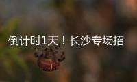 倒计时1天！长沙专场招聘均已就位
， “粤”定你
，“职”等你！