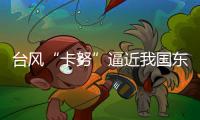 快排公司十年历程，霸屏兔 seo 的崛起与坚守