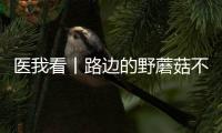 医我看丨路边的野蘑菇不要采！花色难辨 毒藏其间